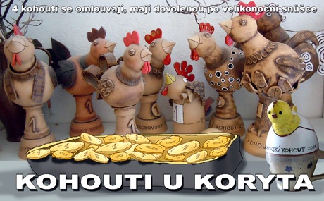 kohouti