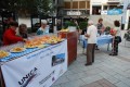 UNICA 2013