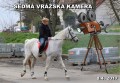 Vrsk kamera 2017